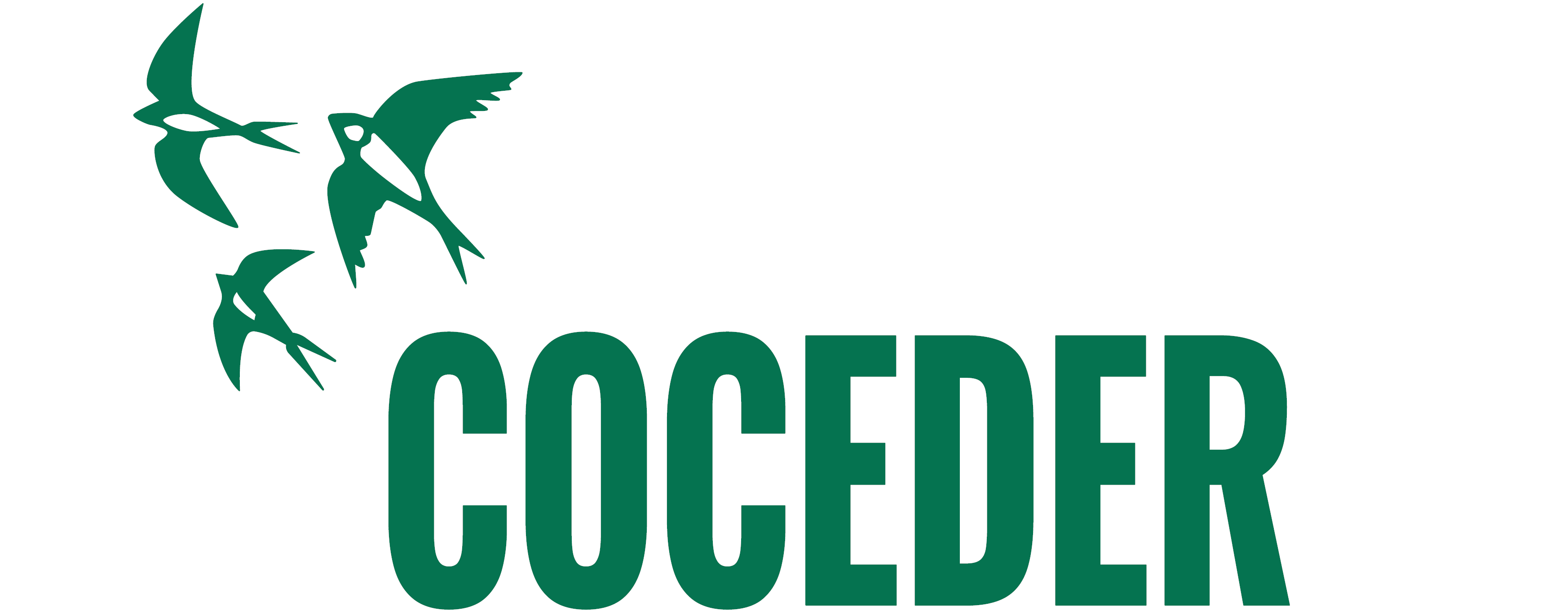 CONFEDERACION DE CENTROS DE DESARROLLO RURAL